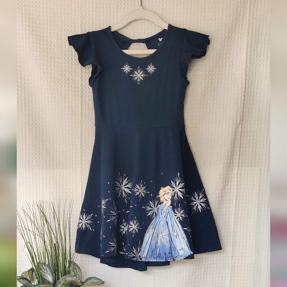 Disney Princess Girls Frozen Skater Dress by Jumping Beans Size 5